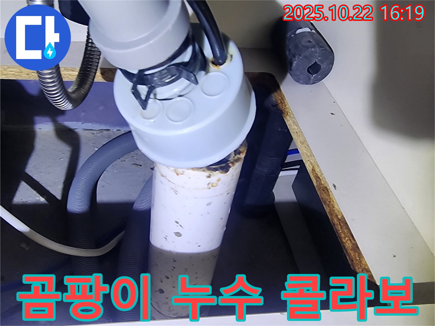 싱크대 하부 곰팡이 - 누수와 함께