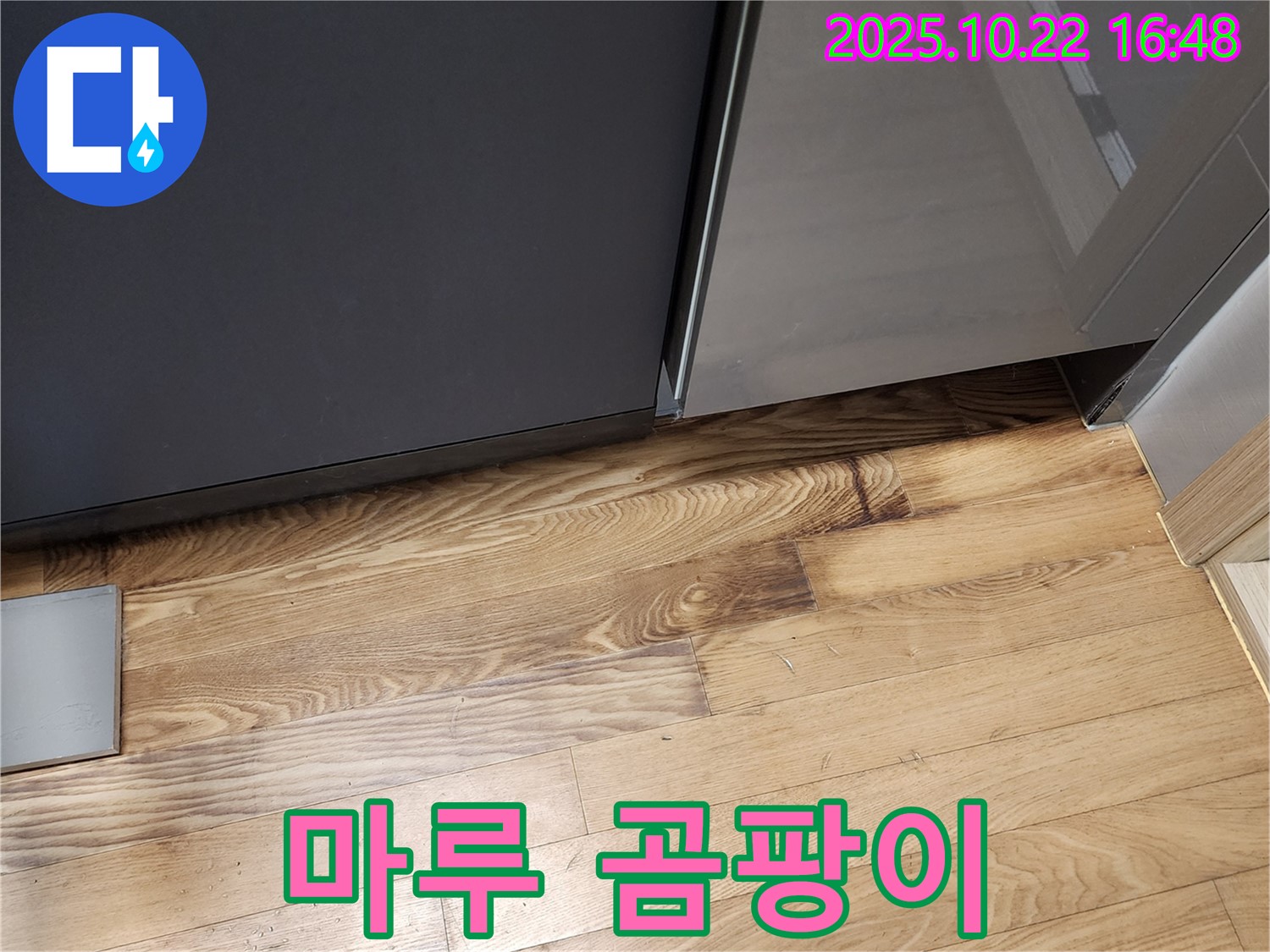싱크대 하부 마루 곰팡이 - 습기 - 곰팡이 완전 제거
