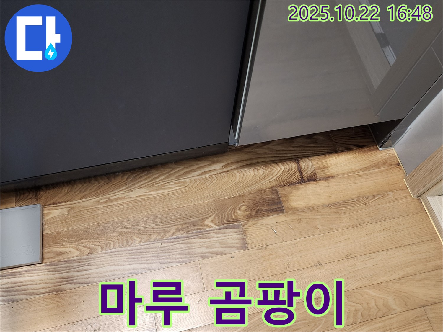 싱크대 하부 마루 곰팡이 - 습기 - 곰팡이 제거 완료