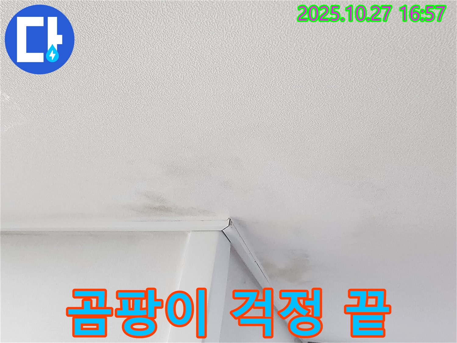 동작구 만양로 누수 - 천장 곰팡이 문제 해결 및 쾌적한 환경 조성
