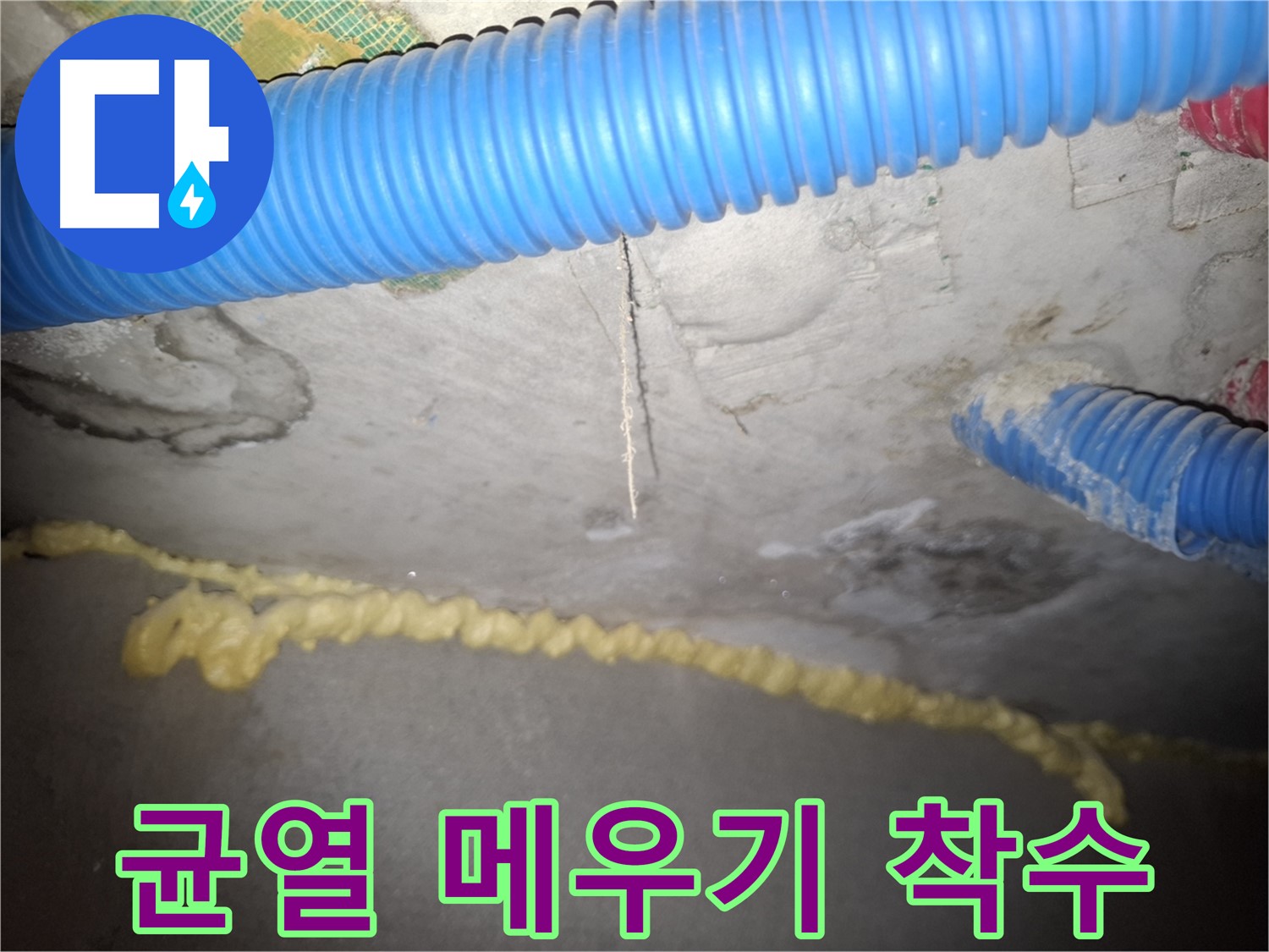 균열 메우기 작업 착수 - 틈새 제로 도전 - 신풍동 누수