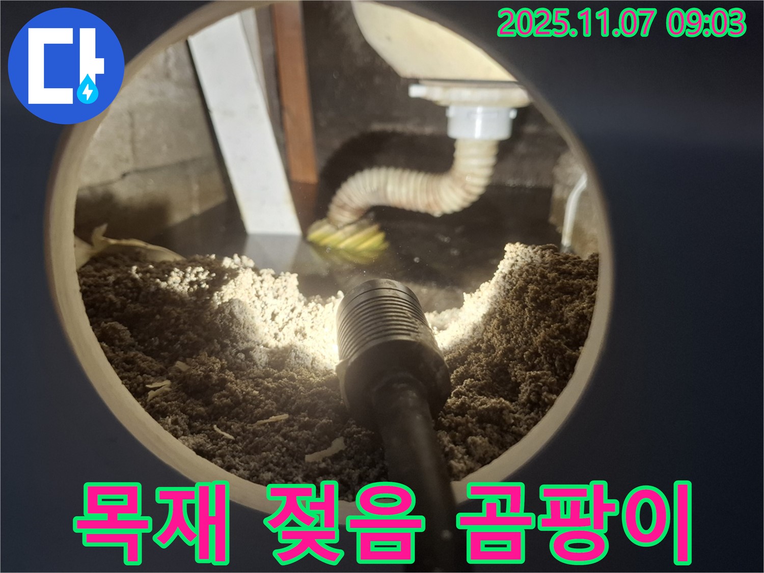 신풍동 누수 - 싱크대 하부장 목재 젖음 및 곰팡이 발생 확인