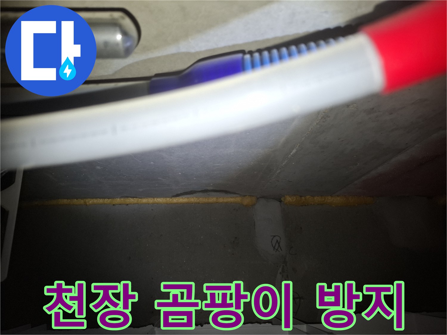 천장 폼 충진 후 - 곰팡이 걱정 싹!