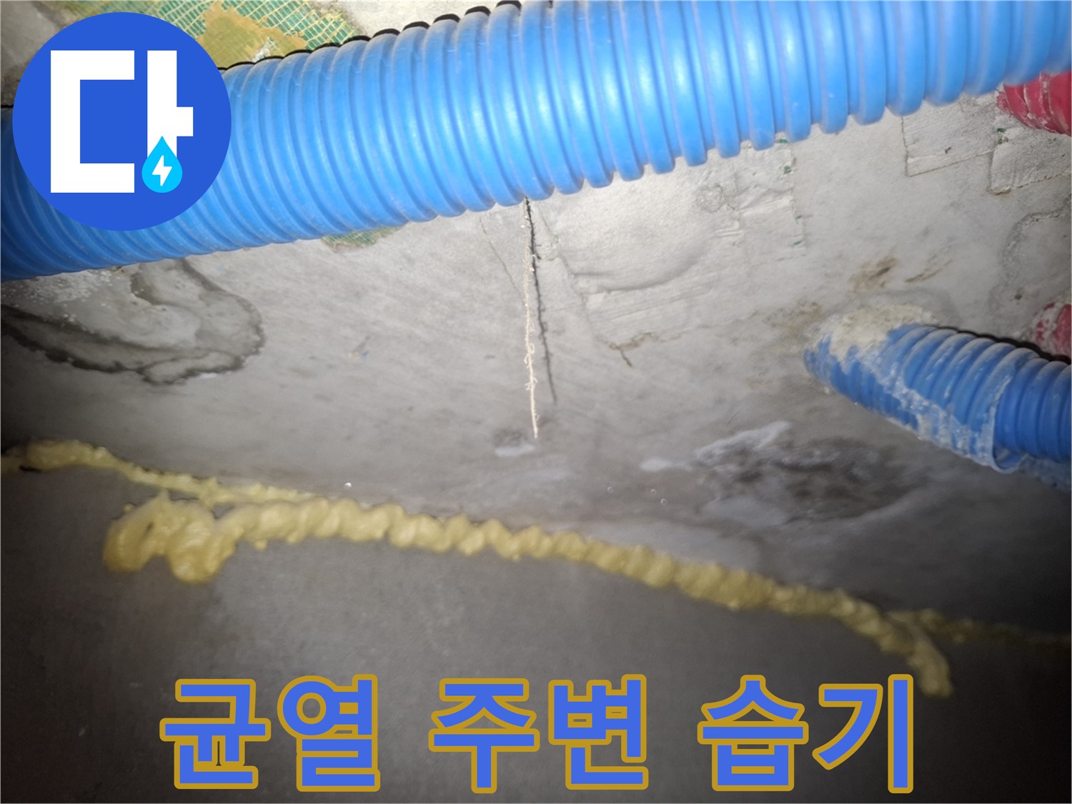콘크리트 균열 주변 습기 - 누수 가능성 높음 - 신풍동 누수