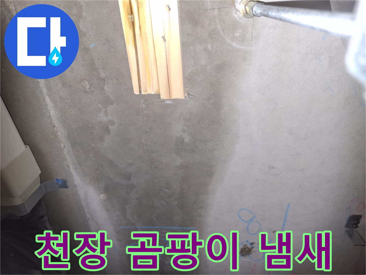 콘크리트 천장 누수 - 곰팡이 냄새