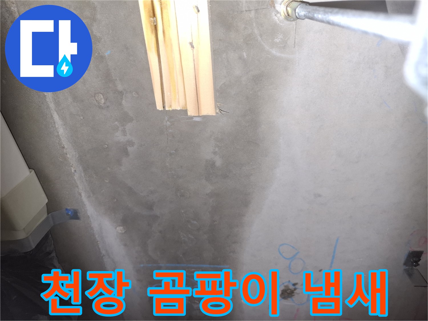 콘크리트 천장 누수 - 곰팡이 냄새