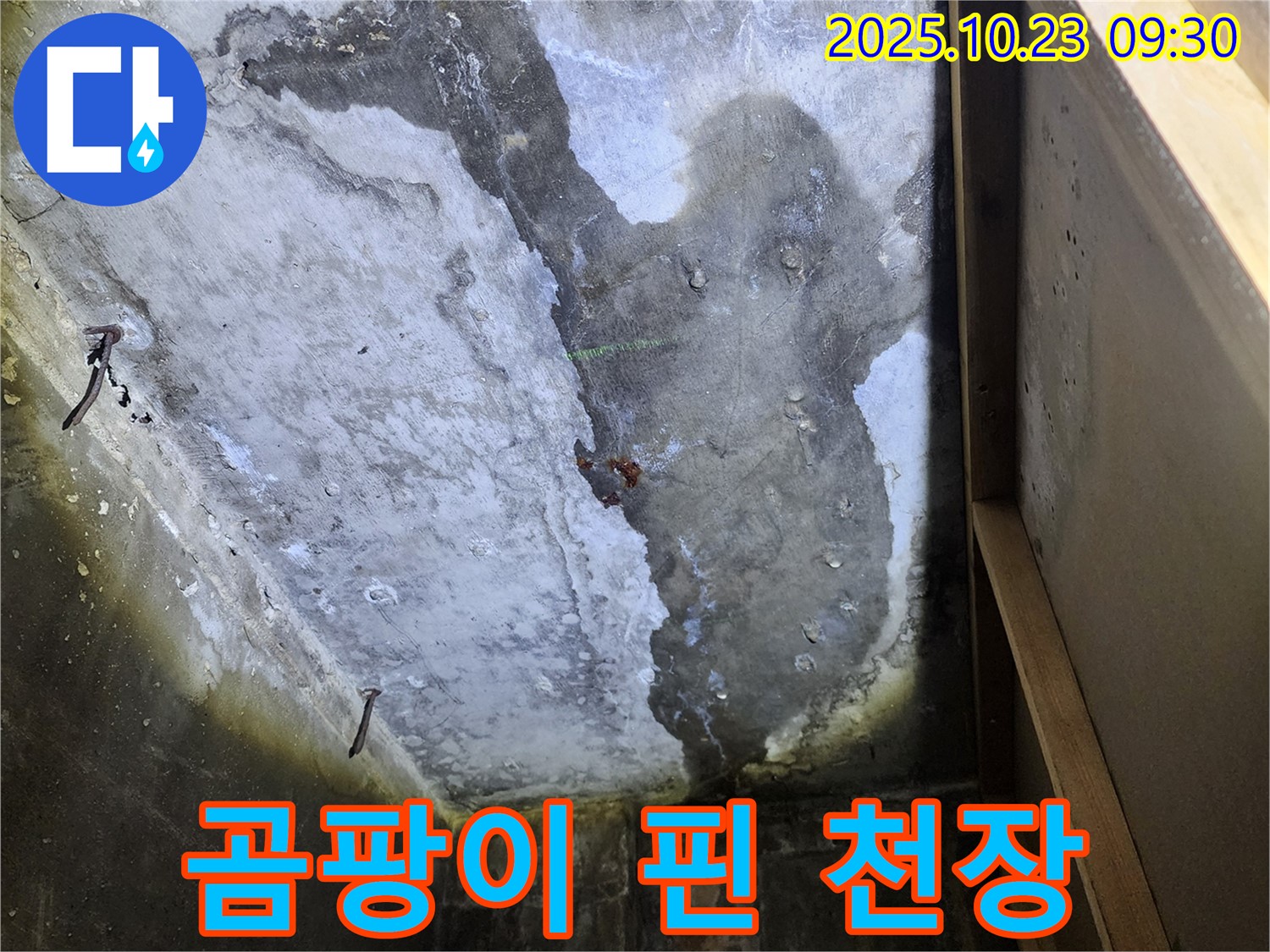 양주 도하리 누수 - 곰팡이 핀 천장, 건강 문제 유발
