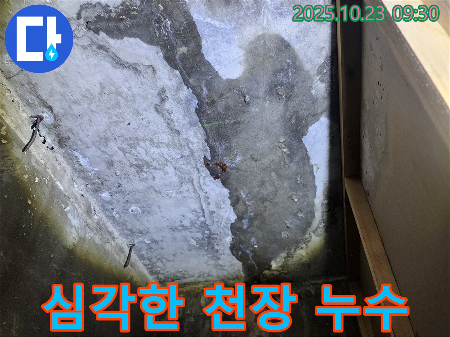 양주 도하리에서 발견된 심각한 천장 누수 - 누수탐지 및 완벽 시공 과정