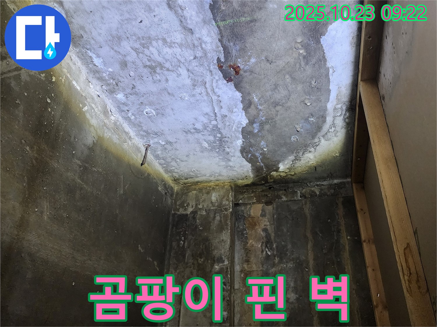 양주시 은현면 곰팡이 꽃 핀 벽 - 누수 해결이 우선
