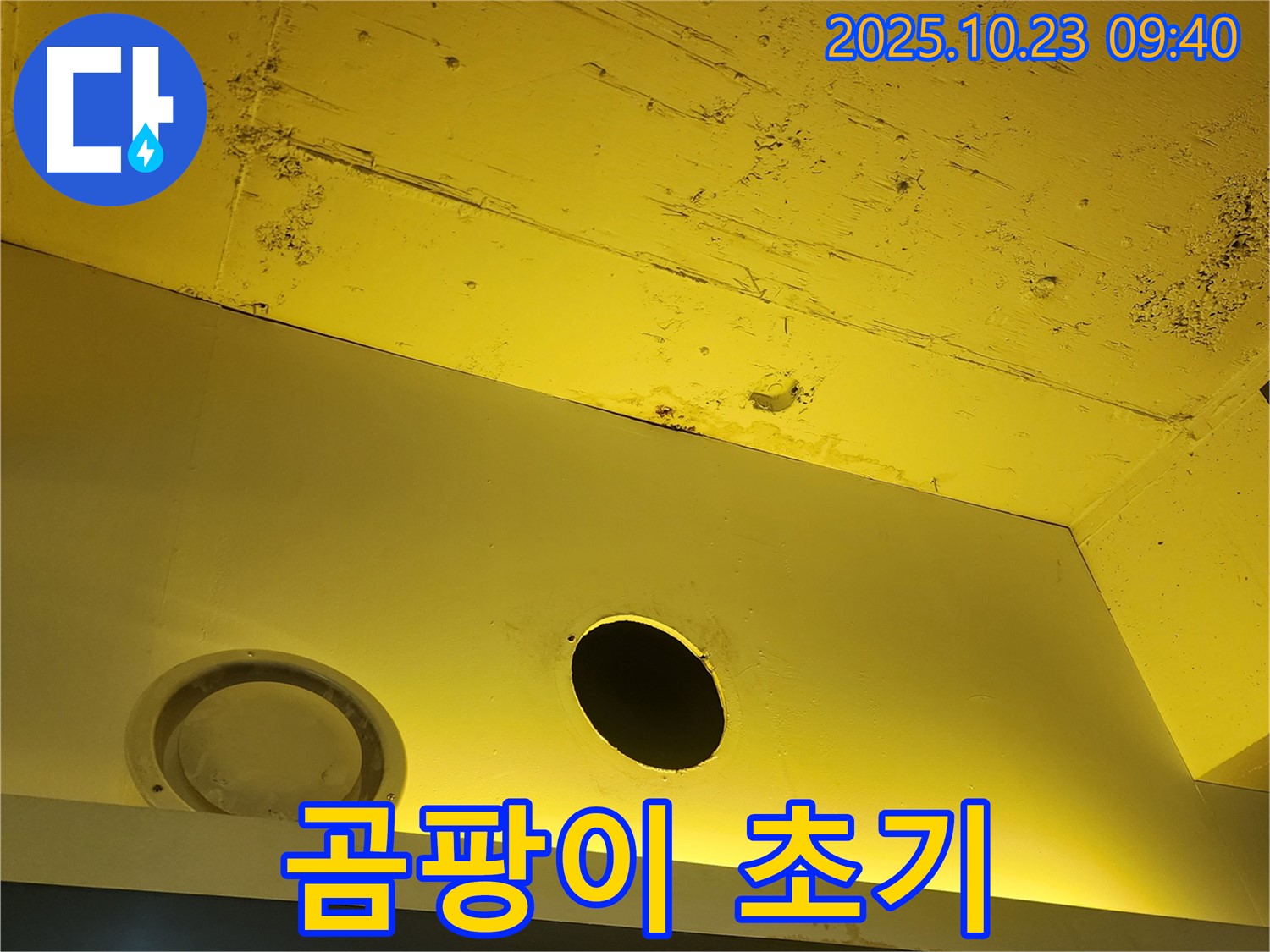 천장 누수 - 곰팡이 발생 초기 단계, 빠른 조치가 필요합니다.