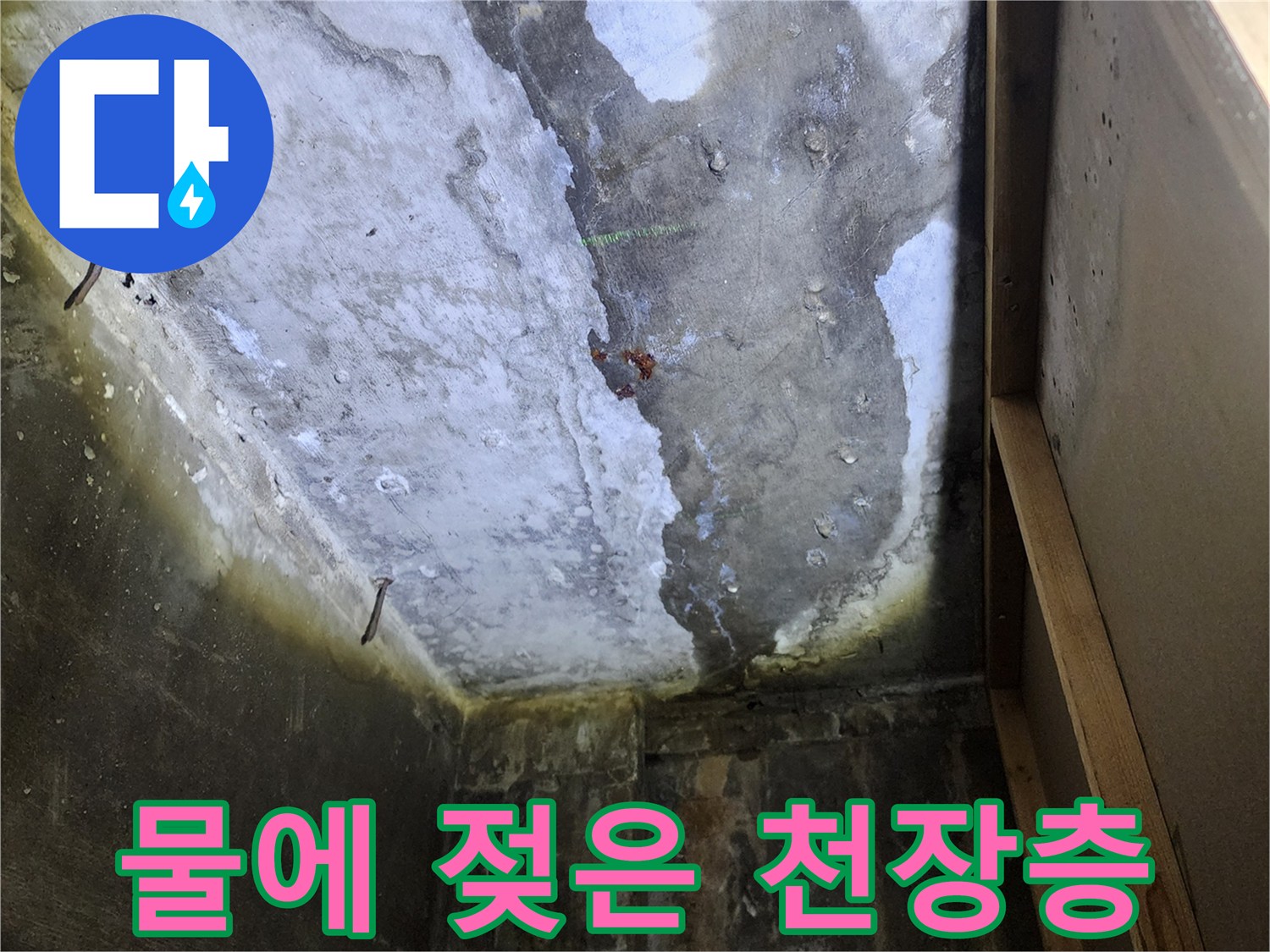 축축하게 젖어있는-천장 콘크리트 면