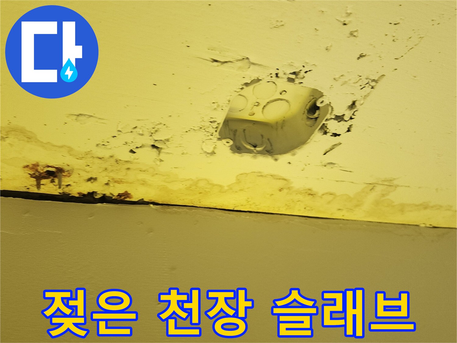 물샘-현상이-발생한-상가-천장-구조물-확인