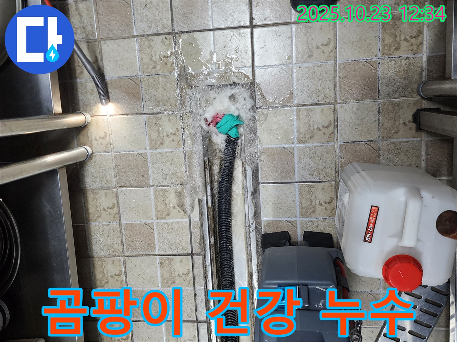 양주 은현면 하패리 식당 - 배수구 주변 곰팡이 발생 - 누수 해결 및 곰팡이 제거