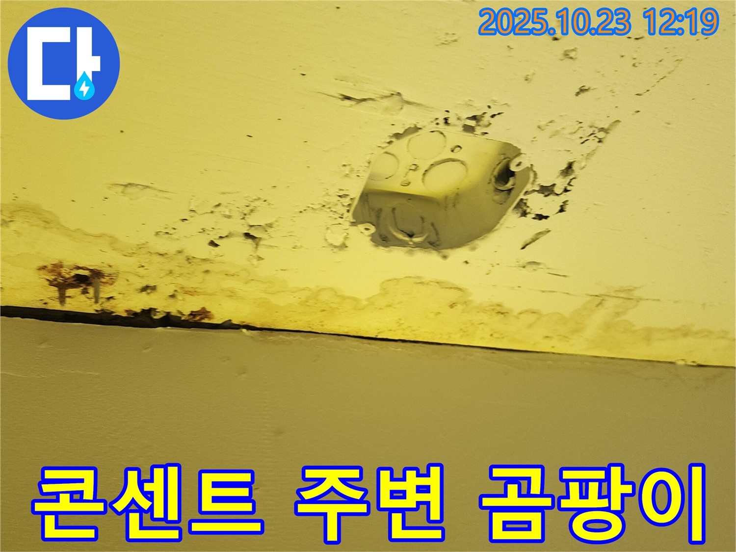 양주시 은현면 천장 누수 - 콘센트 주변 곰팡이와 누수 흔적