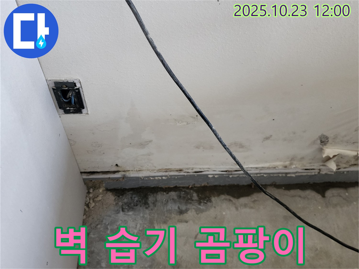 양주시 하패리 - 벽 하단 습기, 곰팡이, 누수 문제 해결 전문가