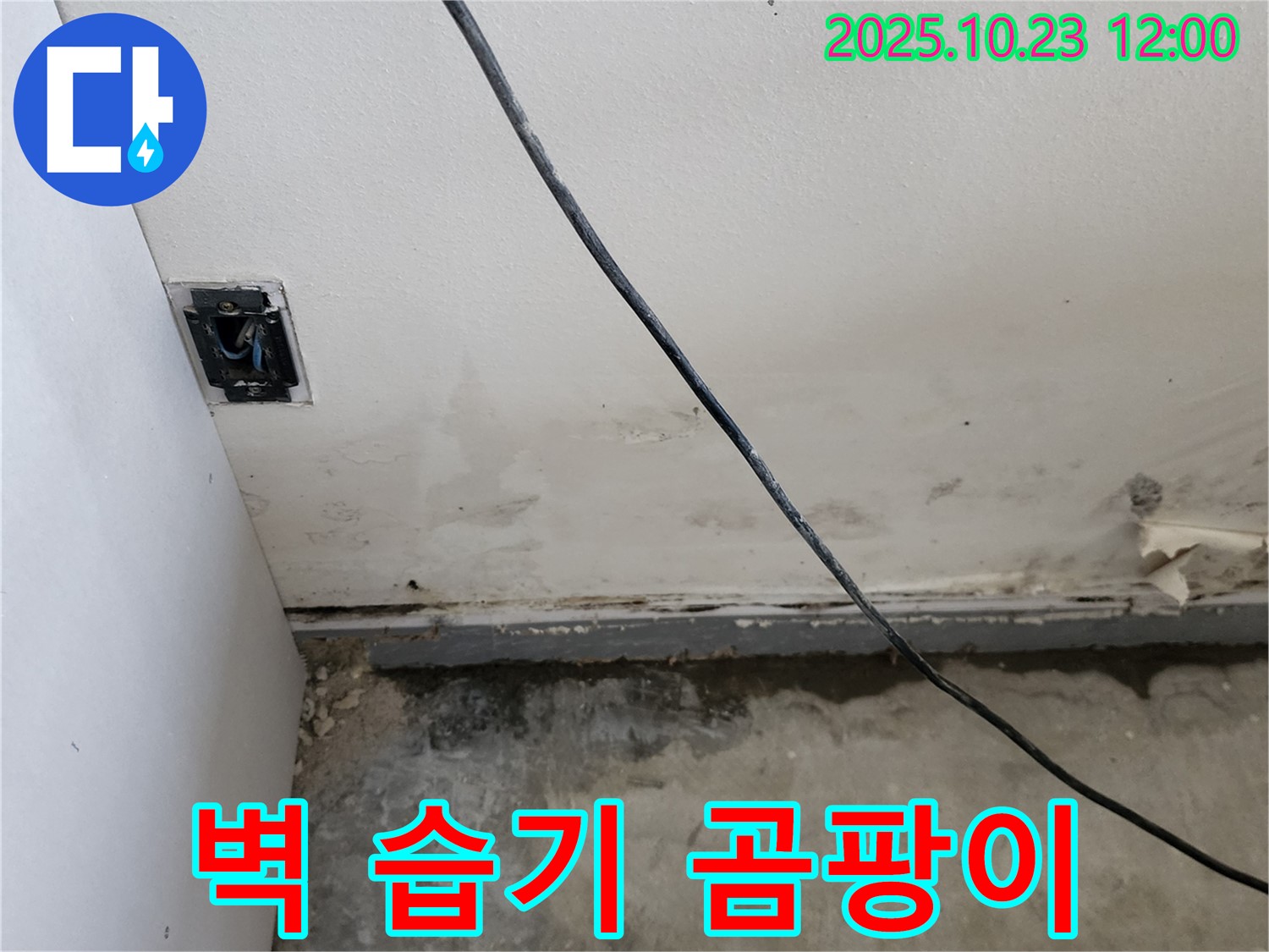 양주시 하패리 - 벽 하단 습기, 곰팡이, 누수 문제 해결 전문가