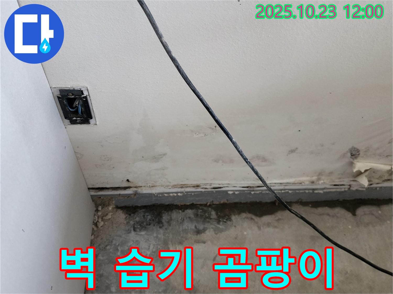 양주시 하패리 - 벽 하단 습기, 곰팡이, 누수 문제 해결! 쾌적한 공간 약속!