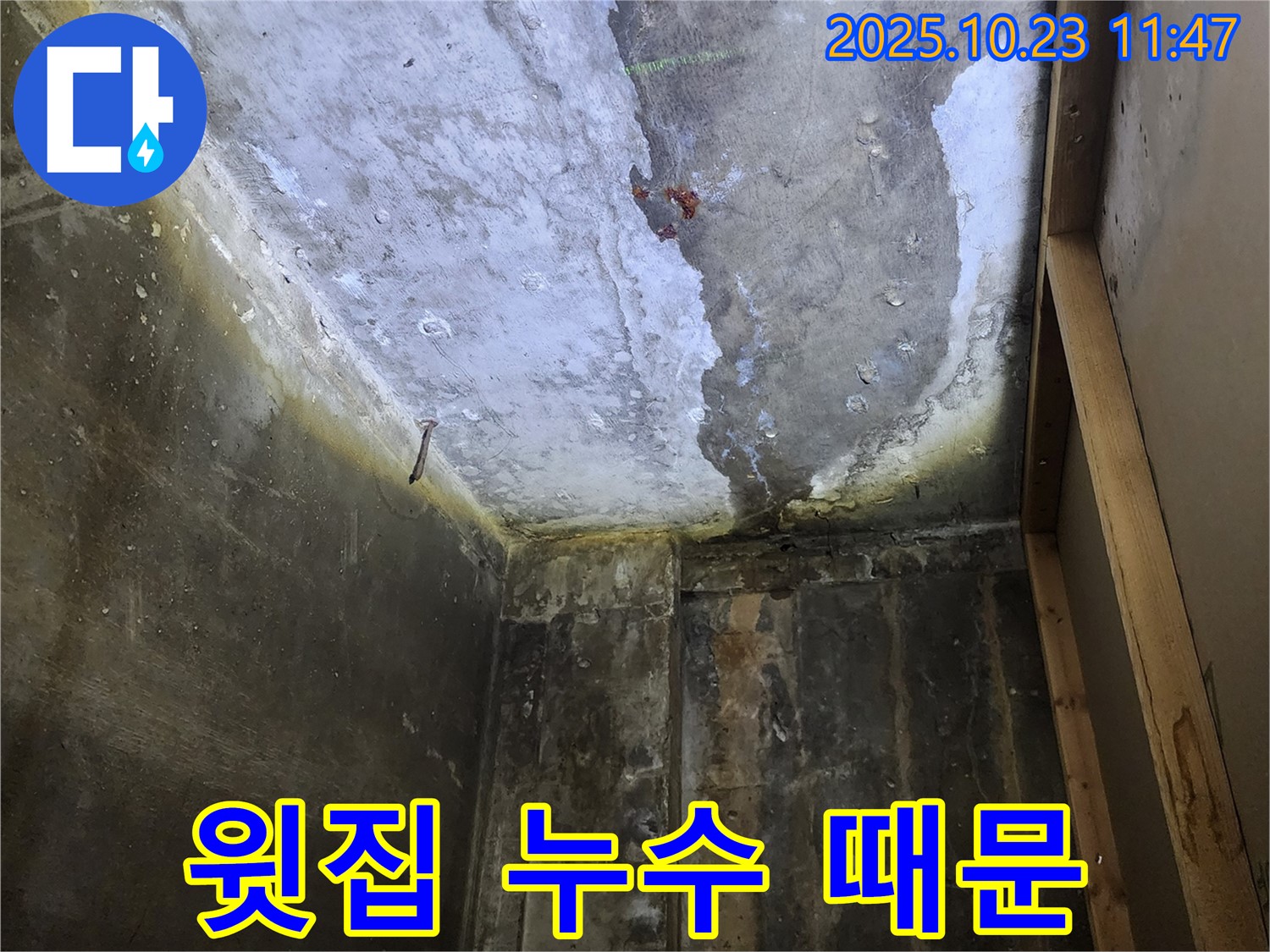 양주시 하패리 - 천장 얼룩, 윗집 누수 가능성 점검