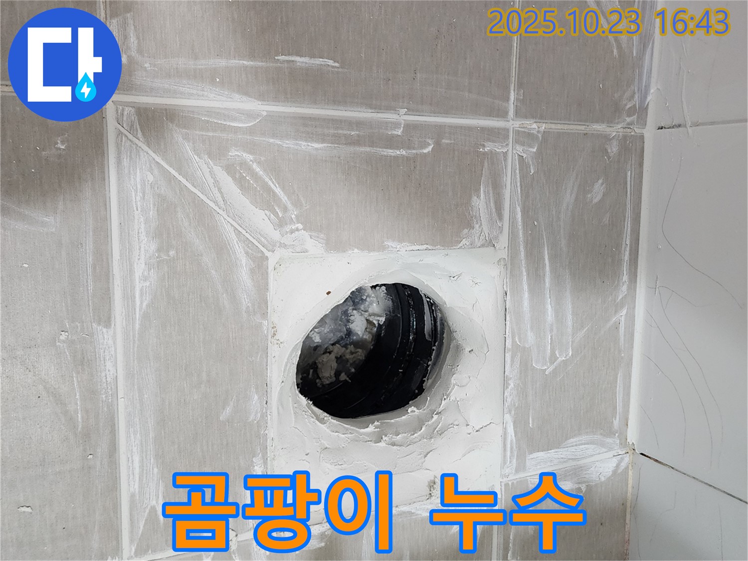 곰팡이 핀 실리콘 - 누수 가능성