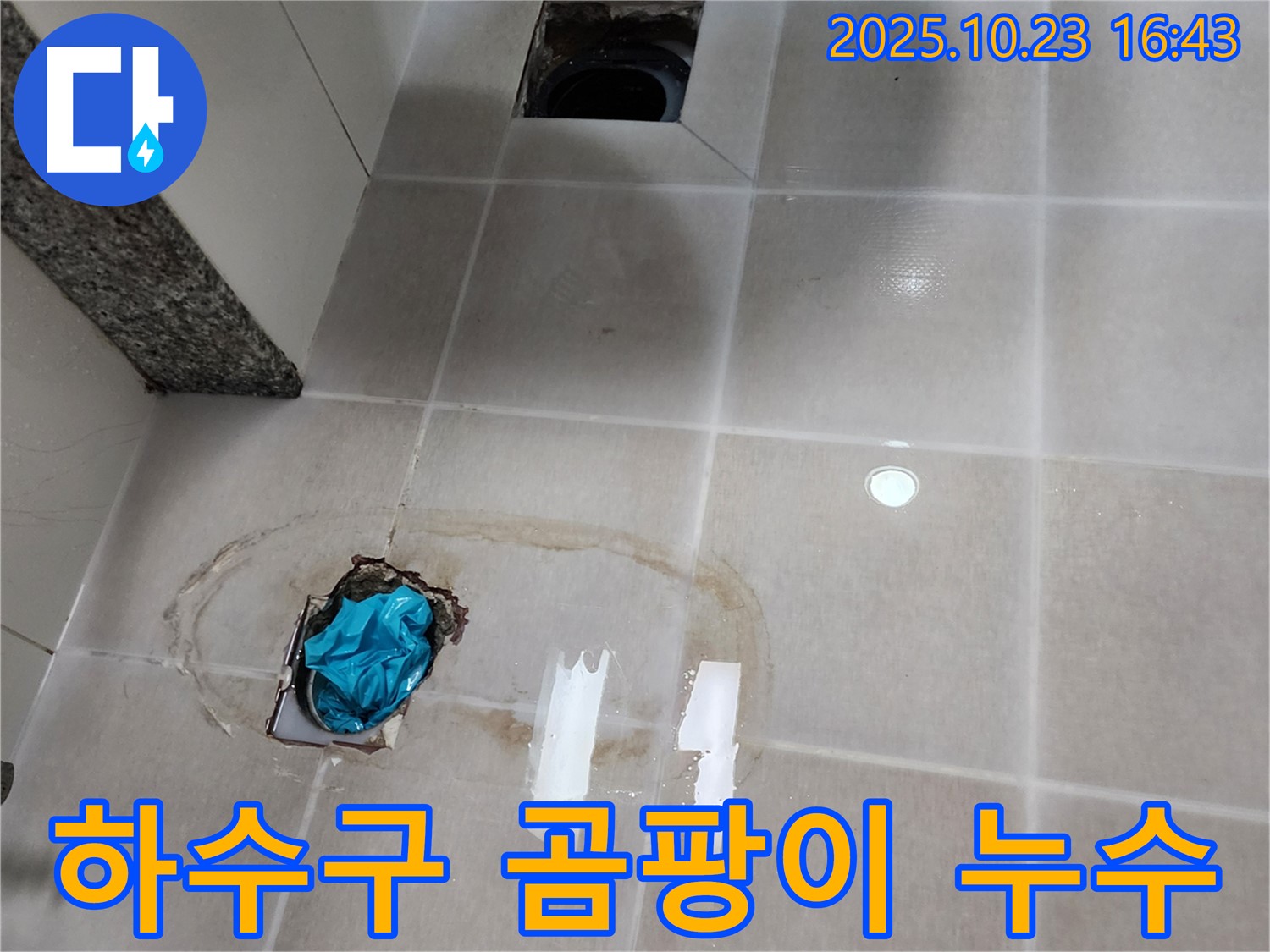 양주 욕실 하수구 주변 곰팡이 누수 - 곰팡이 제거와 누수 방지를 한 번에!