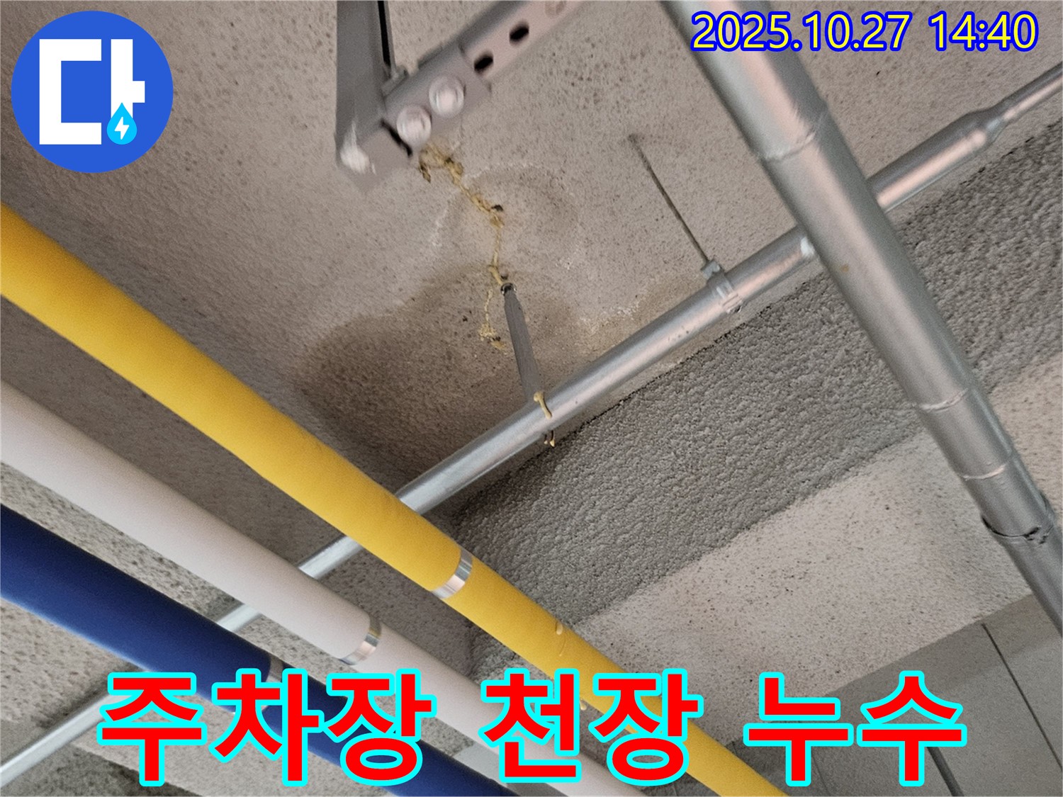 고양시 덕양구 대장동 아파트 지하 주차장 - 천장 누수 초기 확인
