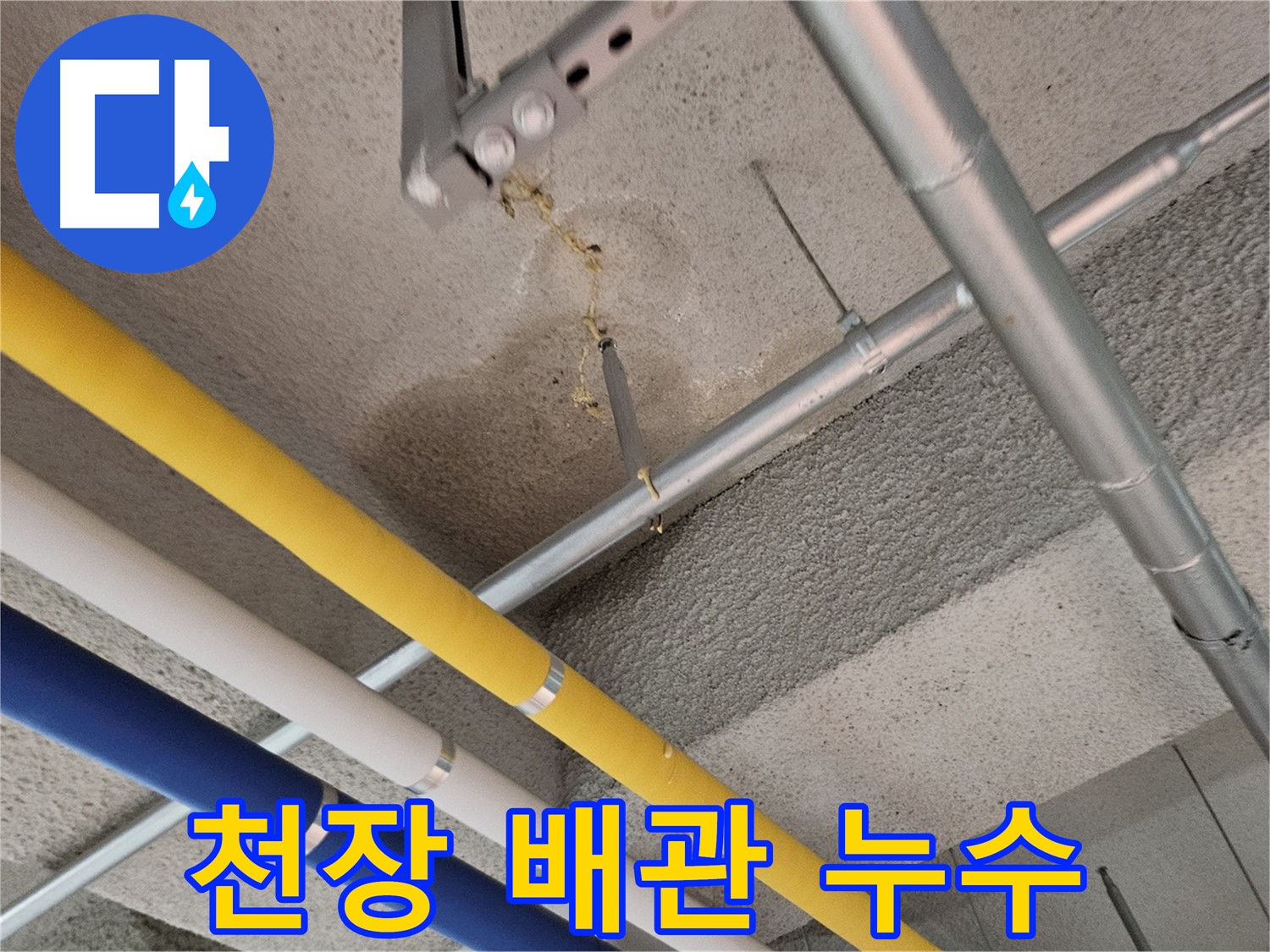 덕양구 오금동 천장 배관 누수 탐지 전문