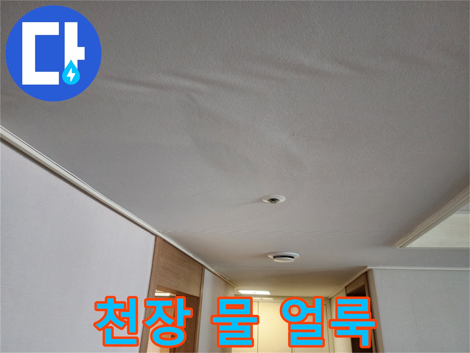 김포 사우동 아파트 천장 누수 - 물 얼룩 발생