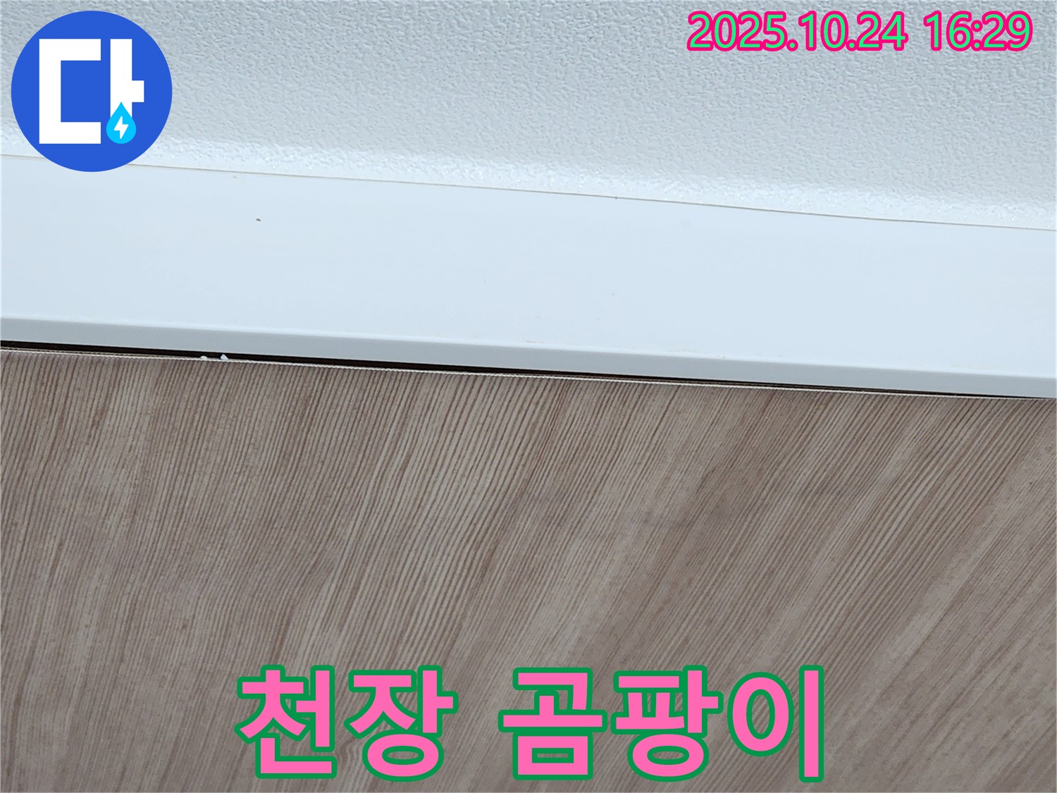 래핑 천장 곰팡이 - 건강 위협 - 즉시 제거