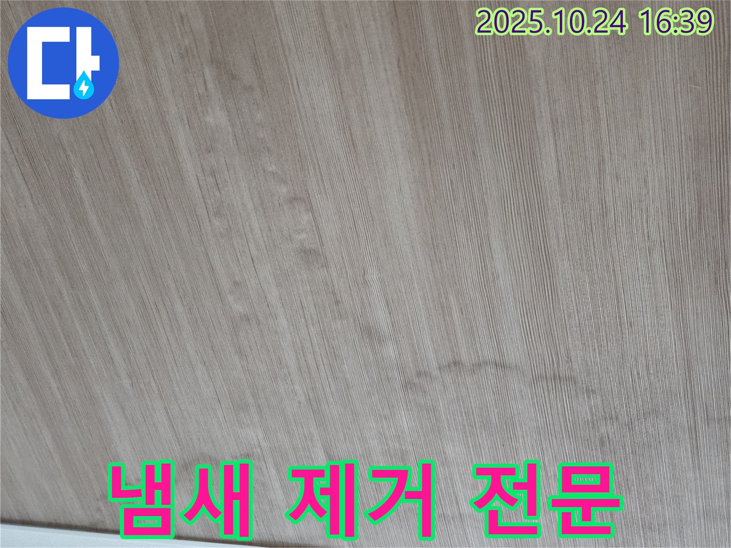 양주 봉우로 누수 - 젖은 장판과 곰팡이 냄새, 완벽하게 제거해 드립니다.