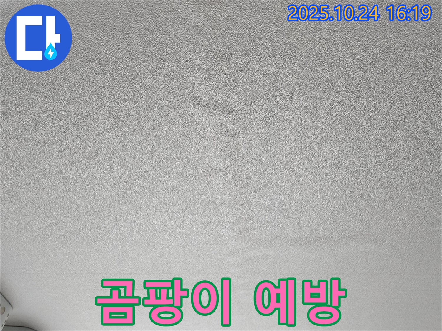 양주 봉우로 누수 - 젖은 천장 - 곰팡이 발생 전 긴급 점검