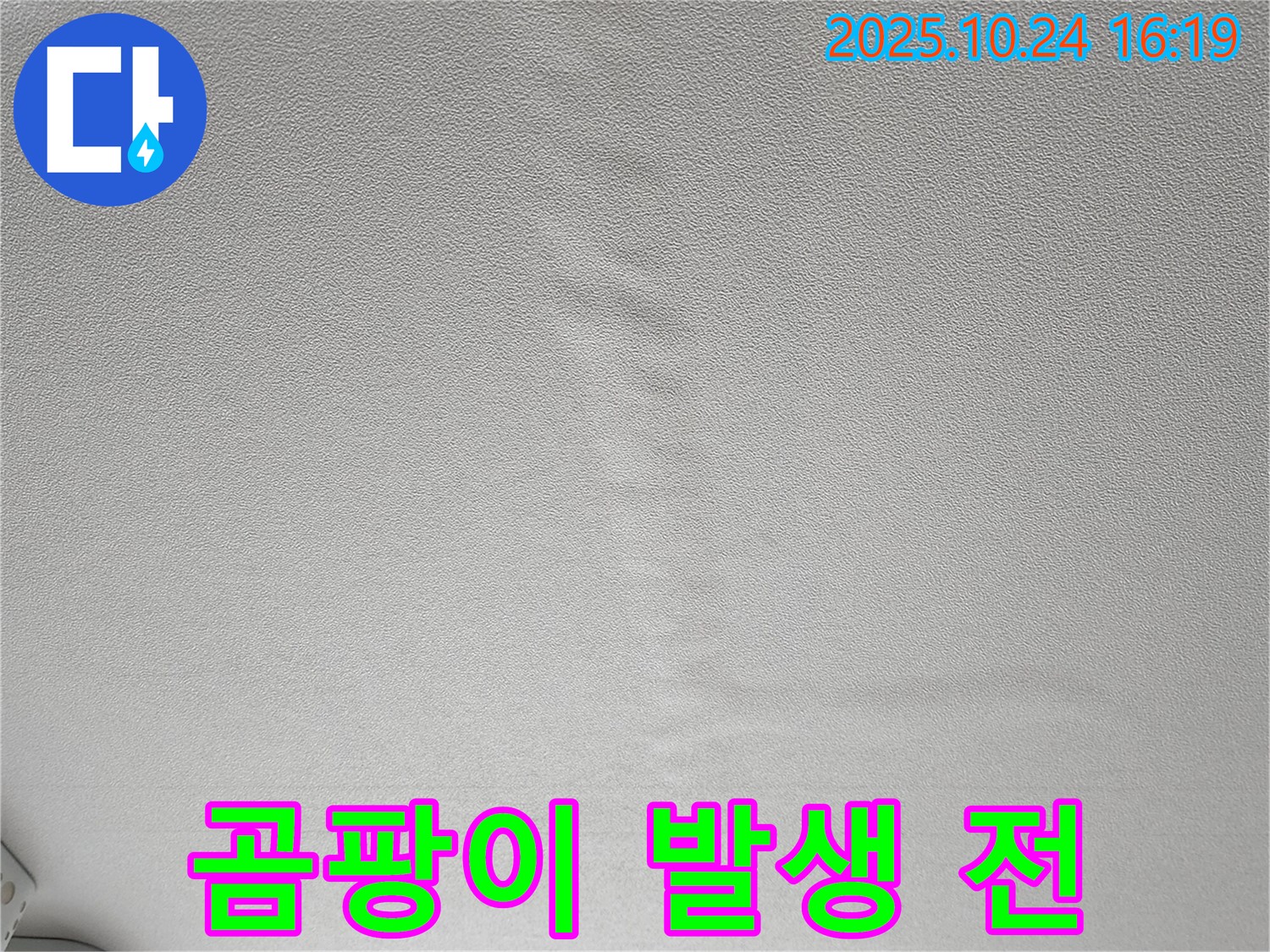 양주 봉우로 누수 - 젖은 천장 곰팡이 발생 전 신속하게 해결