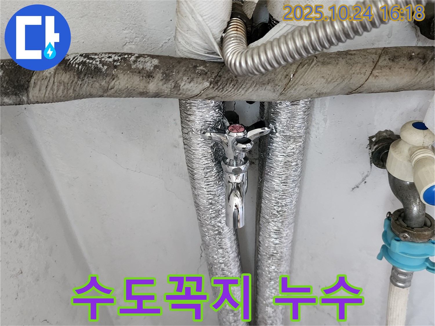 양주 세탁기 수도꼭지 연결 부위 누수 - 꼼꼼한 점검과 수리