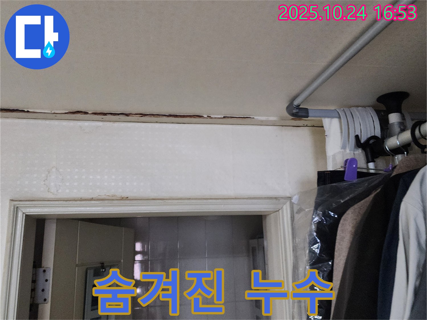 양주시 - 곰팡이 냄새 - 숨겨진 누수 해결