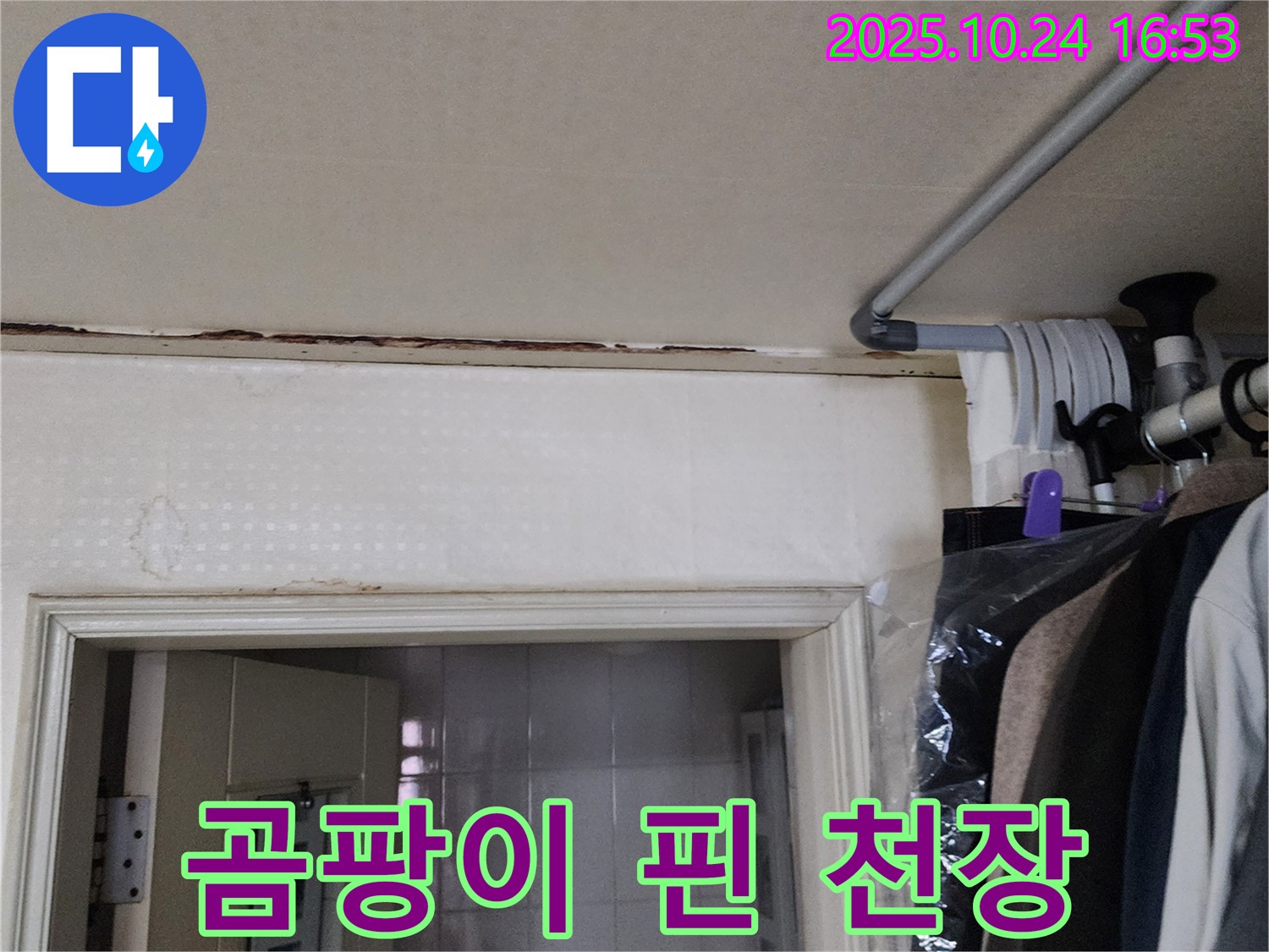 양주시 - 곰팡이 핀 천장 - 누수 해결 우선