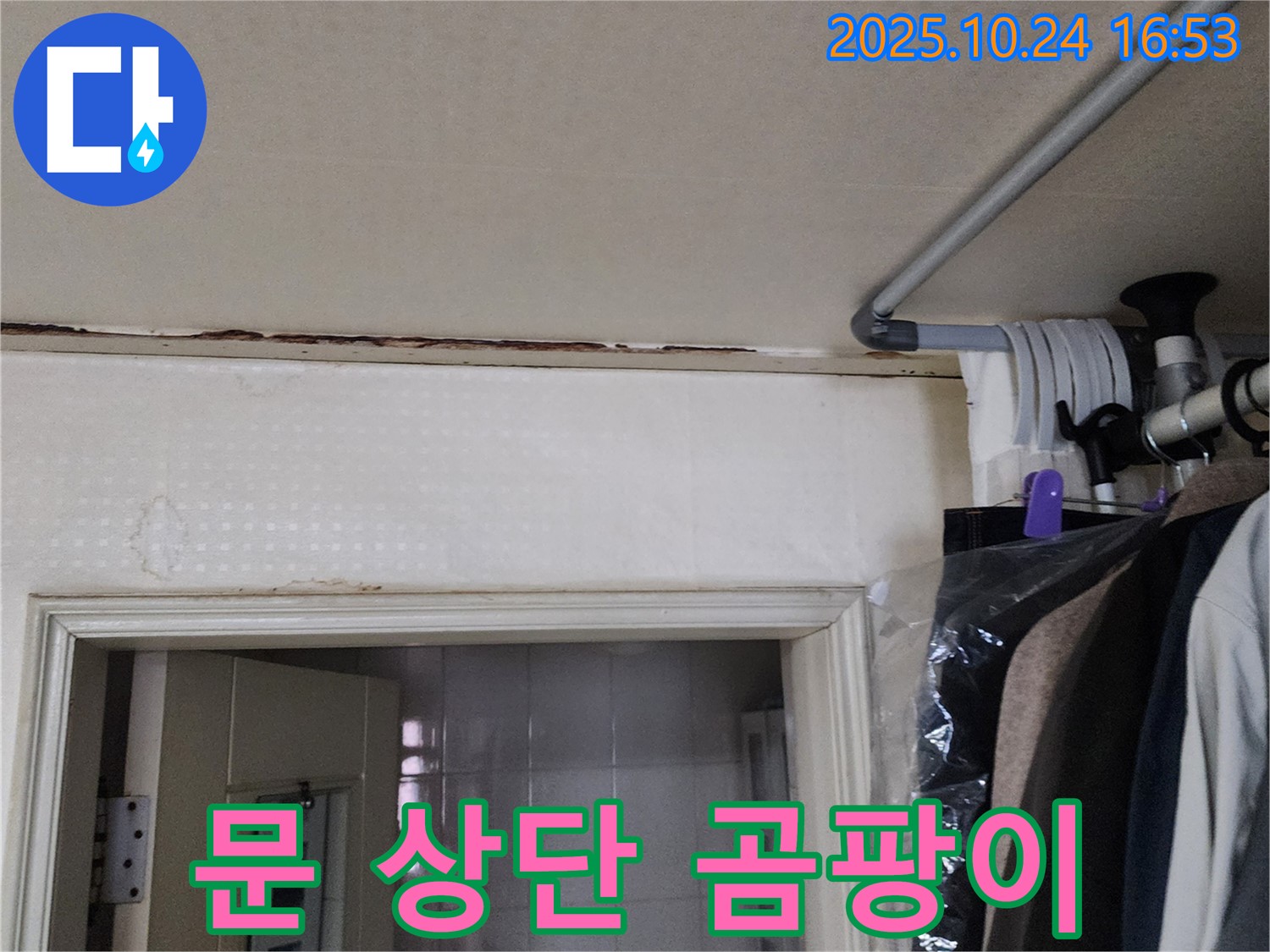 양주시 - 문 상단 곰팡이 - 설비 전문가