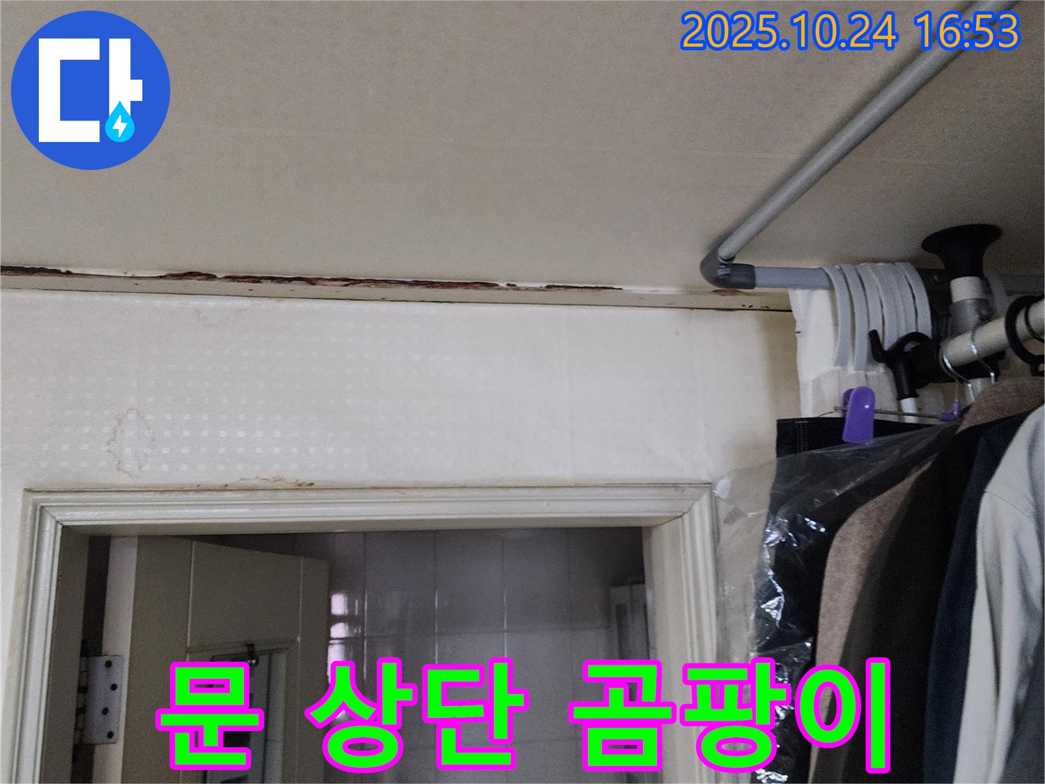 양주시 - 문 상단 곰팡이 - 설비 전문가
