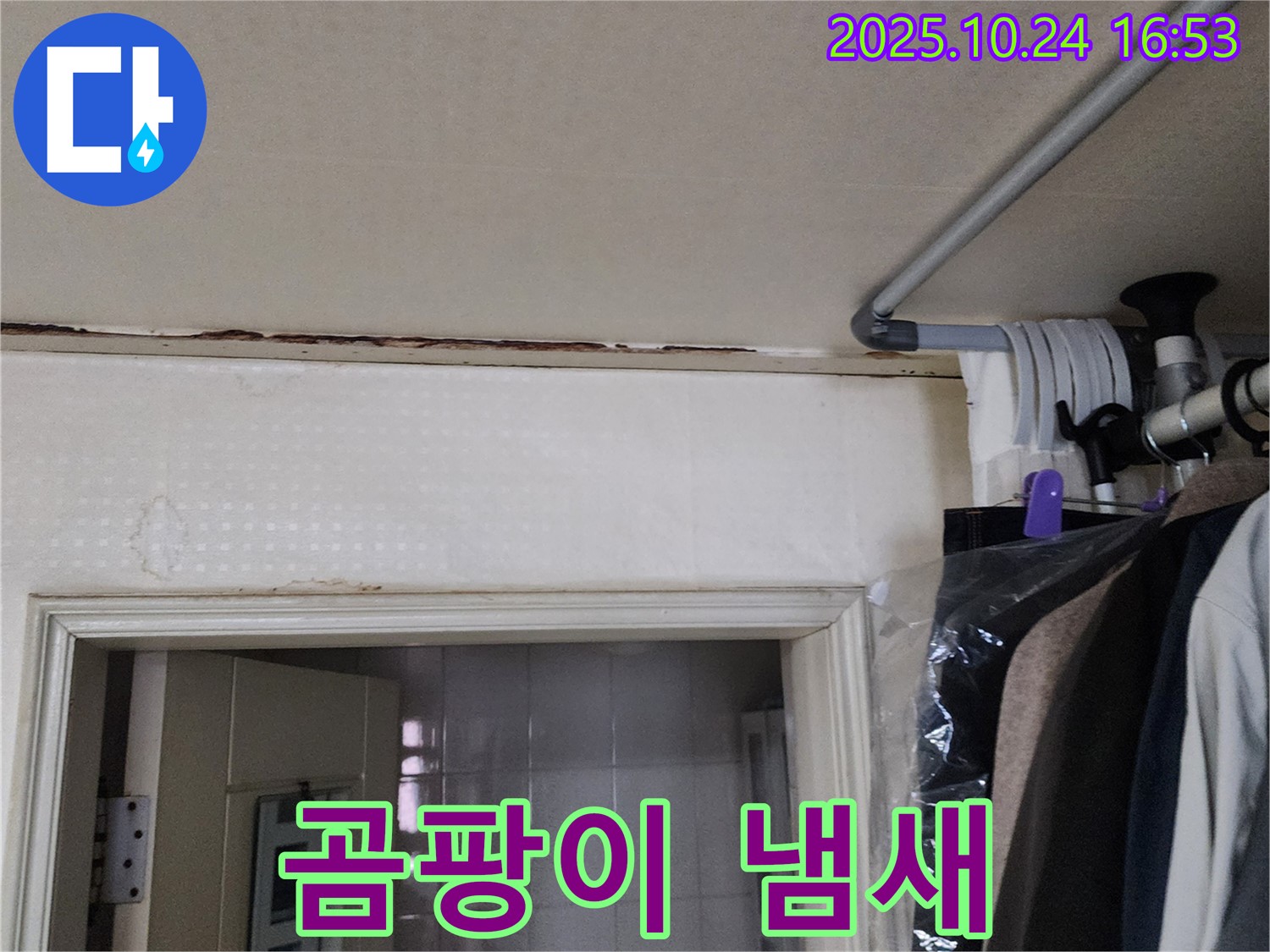 양주시 양주1동 - 곰팡이 냄새 - 숨겨진 누수