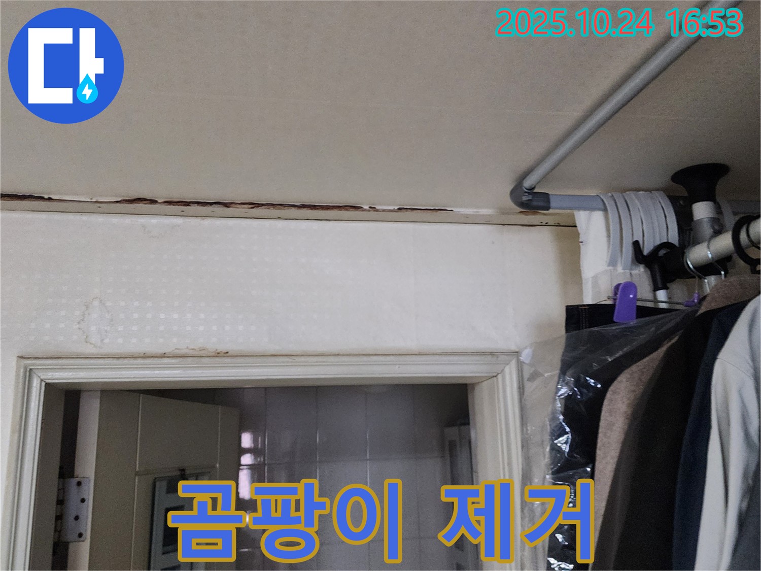 양주시 양주1동 - 곰팡이 - 누수 잡고 제거