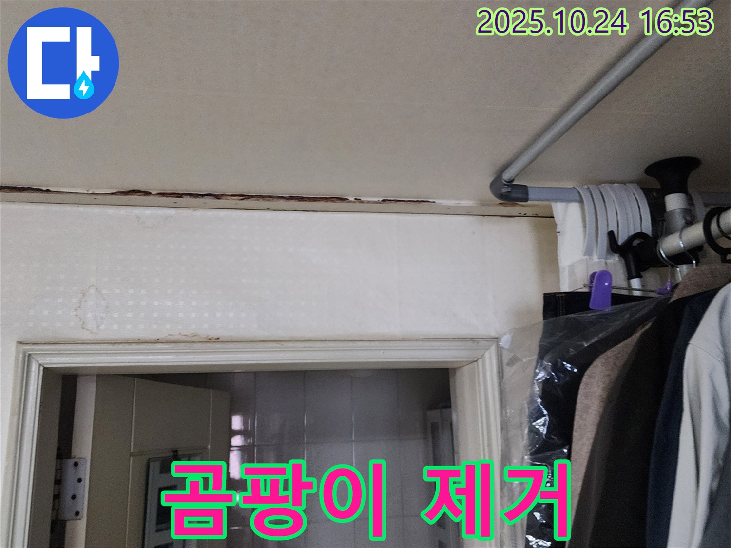 양주시 양주1동 - 곰팡이 - 누수 잡고 제거
