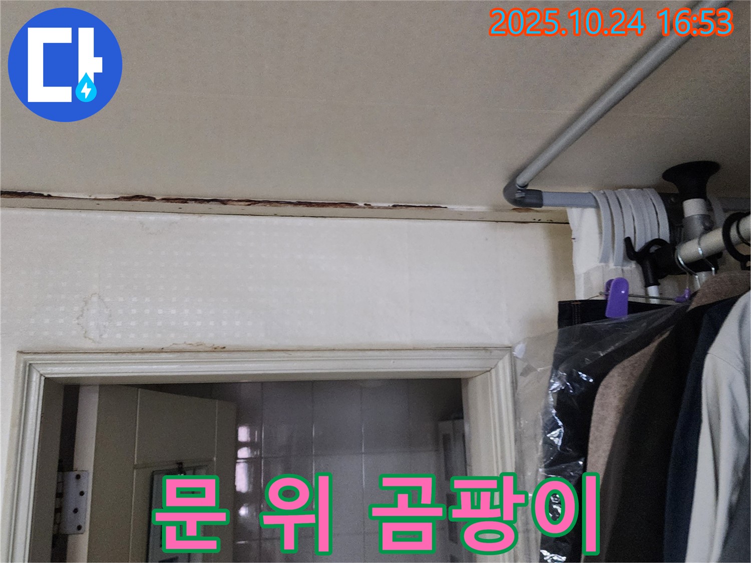 양주시 양주1동 - 문 위 곰팡이 - 꼼꼼 진단