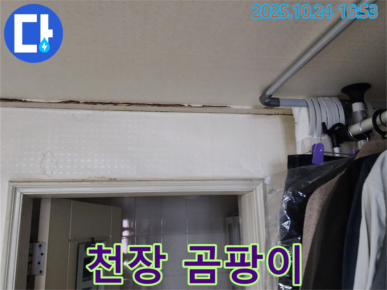 양주시 양주1동 - 천장 곰팡이 - 꼼꼼 시공