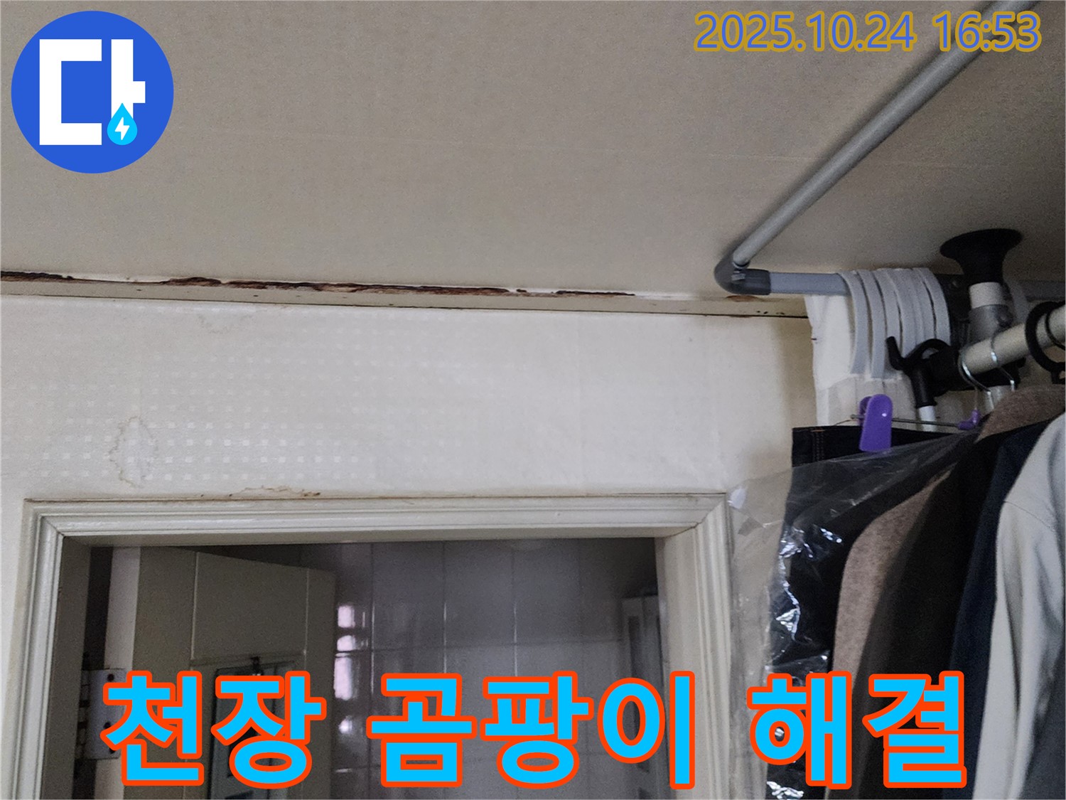 양주시 - 천장 곰팡이 - 누수 해결 우선