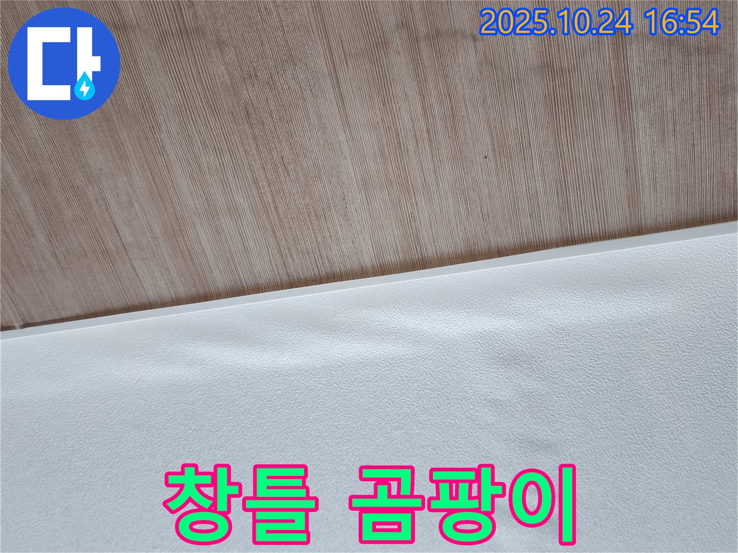 창틀 주변 곰팡이 - 창틀 주변에 곰팡이가 핀 모습입니다.
