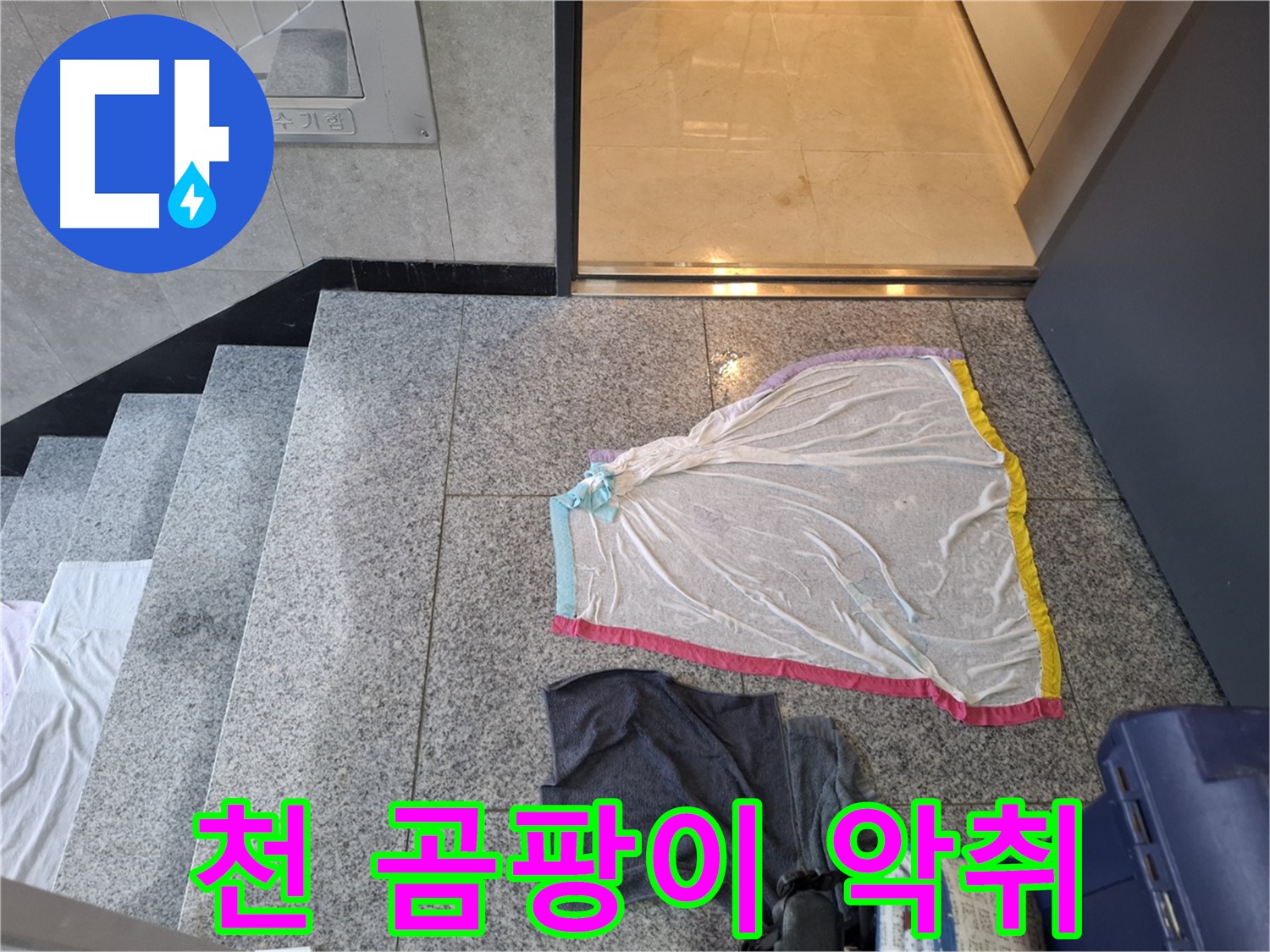 젖은 천 곰팡이 악취 - 고양시 건물 누수