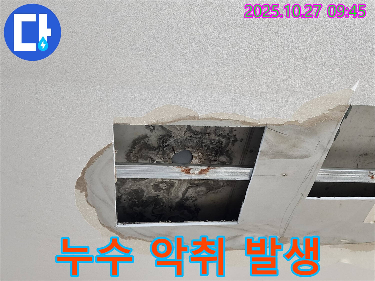 양주시 옥정동 천장 누수 - 악취 발생, 쾌적한 환경 되찾기!