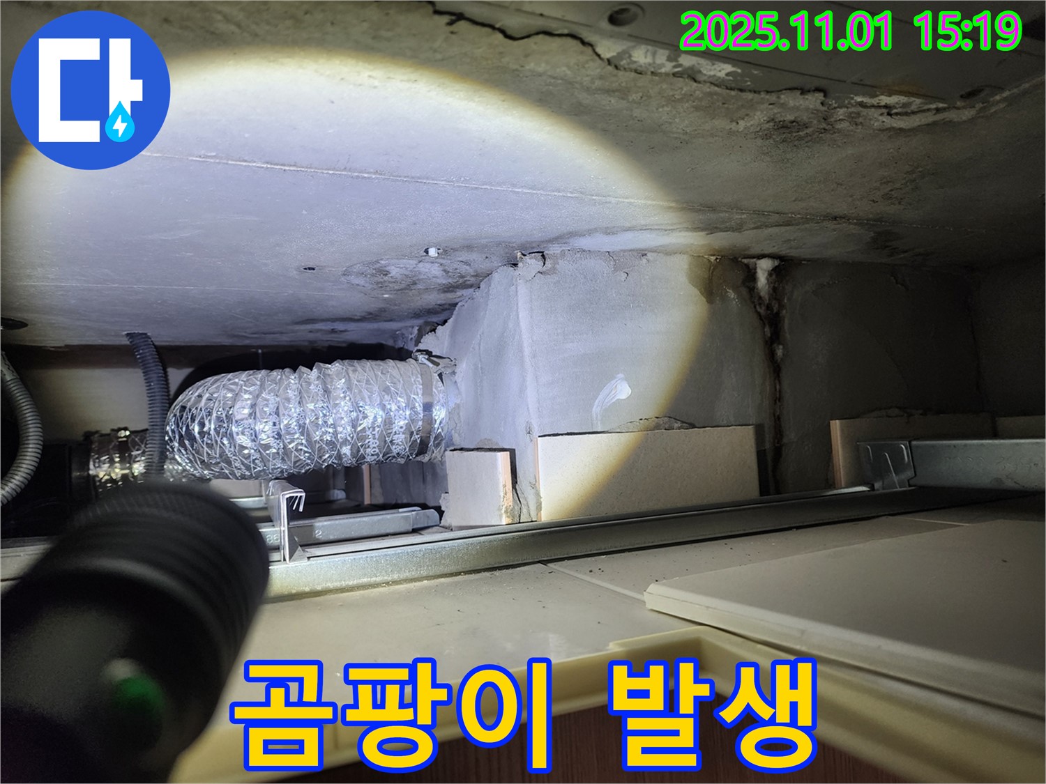 곰팡이 - 누수로 인한 곰팡이