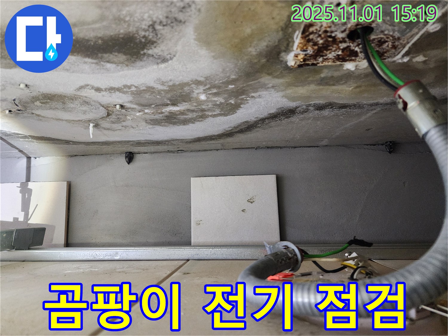 곰팡이 발생 - 전기 설비 안전 점검