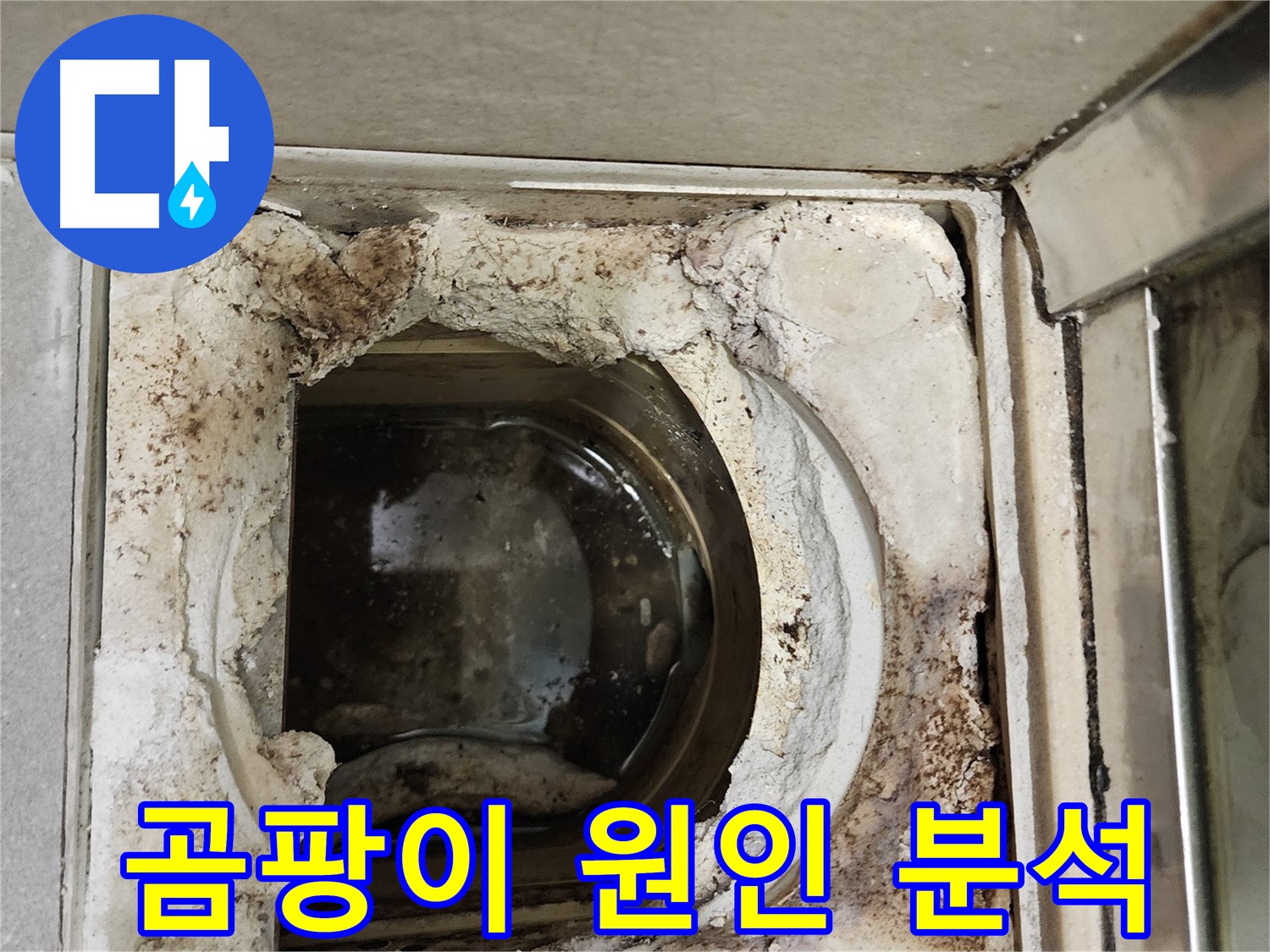 금호동2가 신금호파크자이 욕실 유가 주변 곰팡이 - 습기와 누수