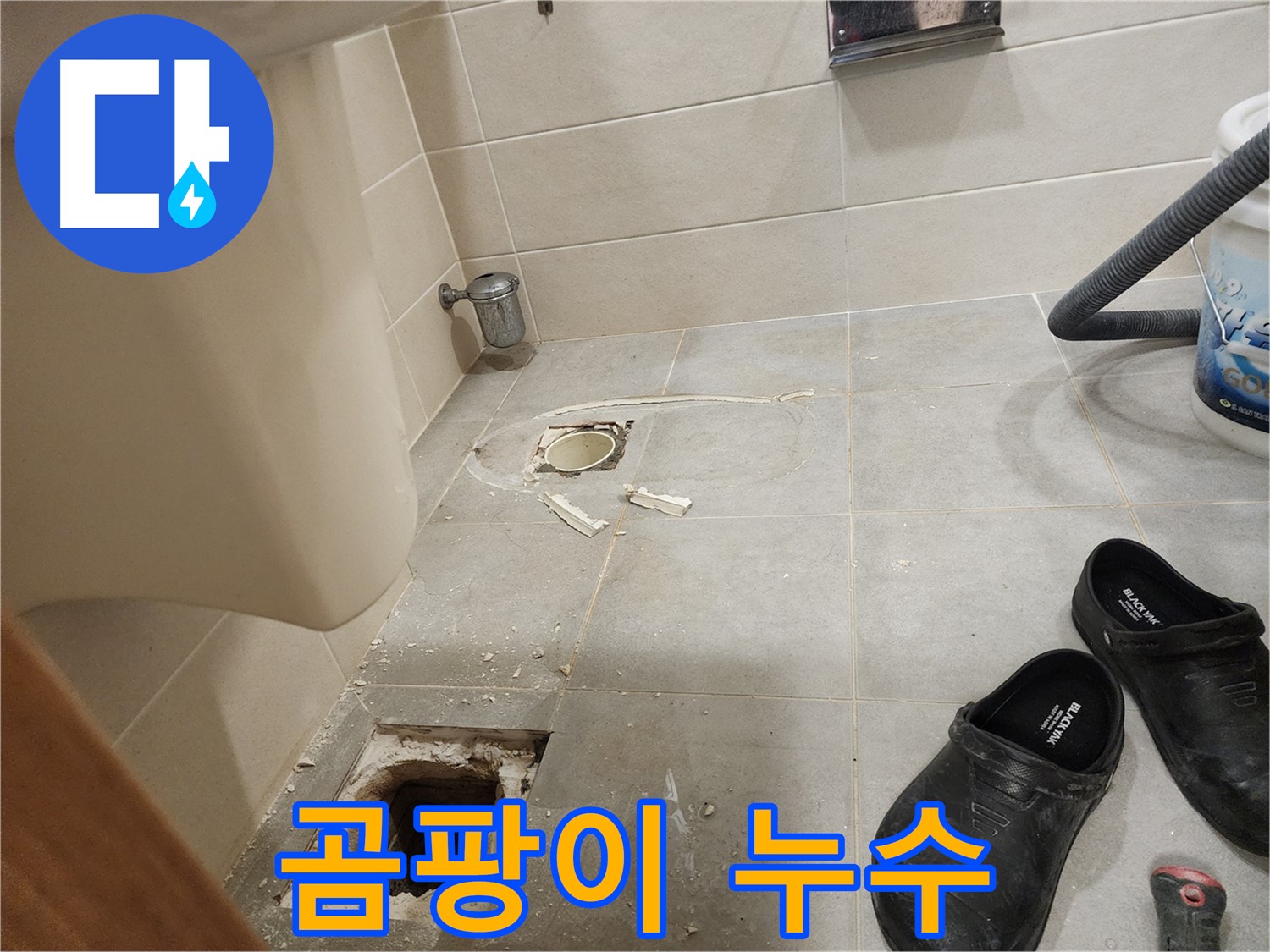 성동구 금호동 신금호파크자이 아파트 변기 배수구 주변 곰팡이