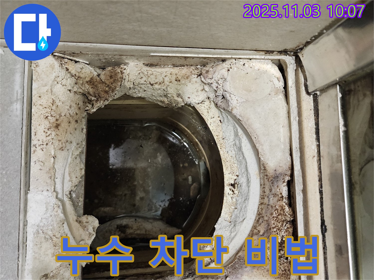 성동구 신금호파크자이 욕실 - 배수구 누수 완벽 차단 성공